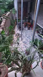 Riverside Guest house - 5