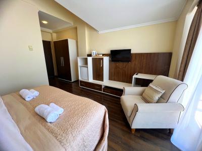 Travel Inn Bakuriani - 17