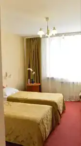 Tsentralny EuroHotel - 66