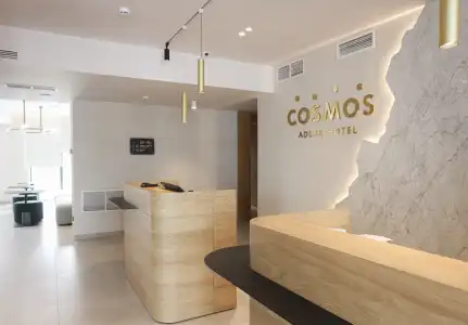 Cosmos - 24