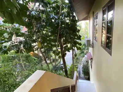 Samui Green Life - 53