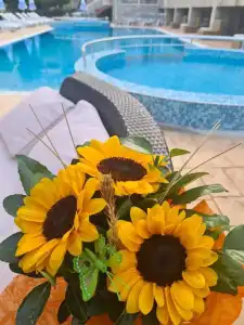 Tropics - 1