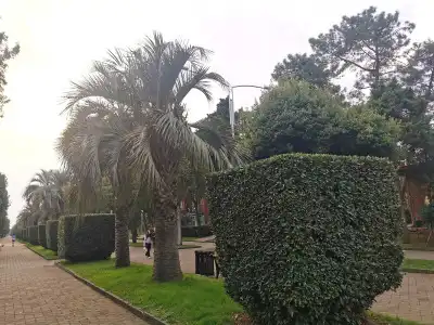 Harmony Boutique Hostel - 15