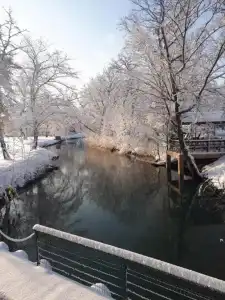 River Inn Resort and Spa - 24