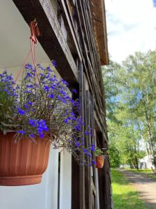 Goosi-Lebedi Wellness Centre - 62