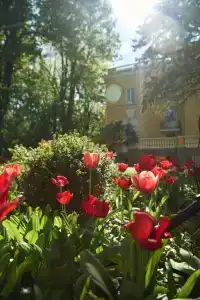 Kochubey-Center - 21