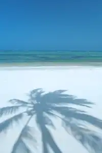 The Palms Zanzibar - 7