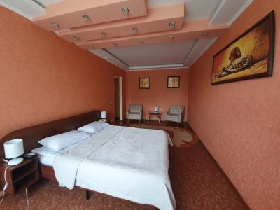 Gostinitsa Aviastar - 155