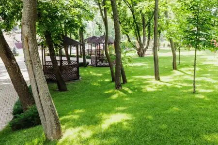 Nadezhda Park-Hotel - 5