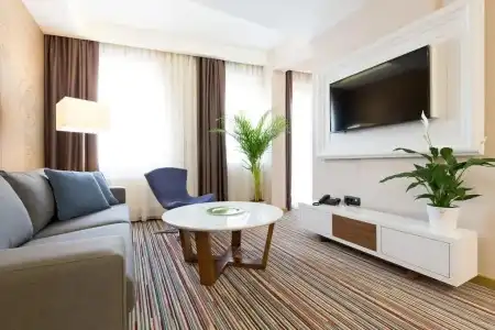 Tesla - Smart Stay - 10