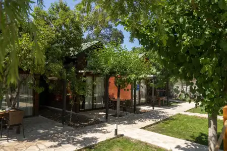 Koala Bungalow - 4