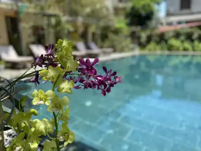 Villa Orchid Garden Riverside Hoi An - 3