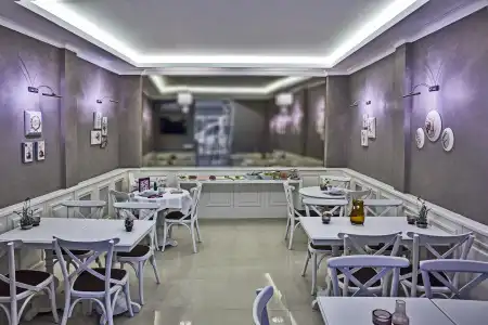 Mr. Bird Boutique - 2