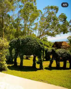 Vita Garden - 19