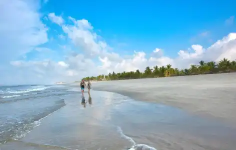 Crowne Plaza Resort Salalah by IHG - 29