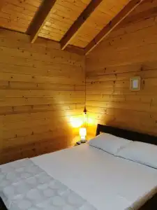 Slavitsa - 3