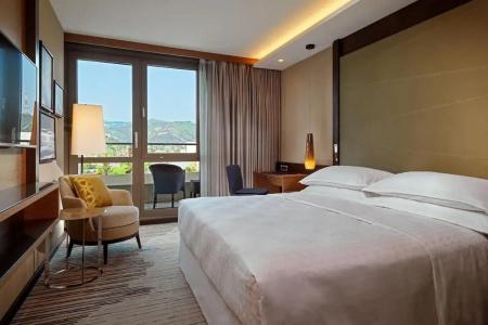 Sheraton Grand Metechi Palace - 4