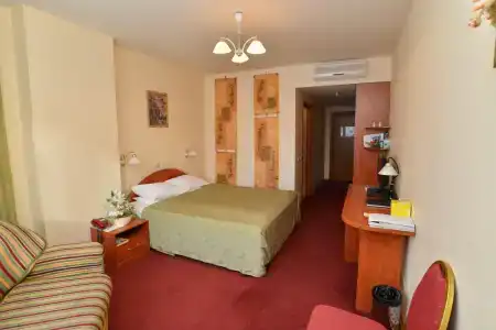 Tsentralny EuroHotel - 87