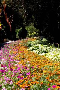 Uzbekistan Sanatorium - 9