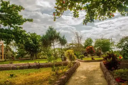 Zanzi Rest Bungalow - 12