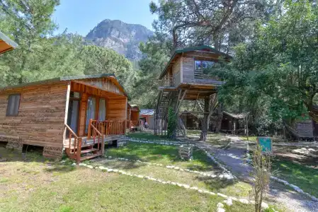 Sea Valley Lodge - 57