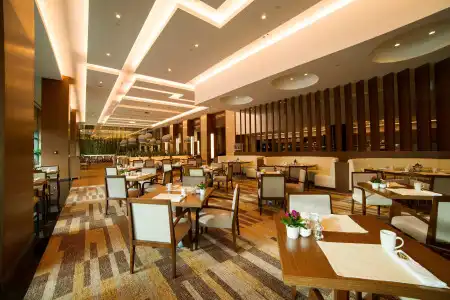Radisson Blu, Kayseri - 37
