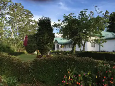 The Trevene - 3
