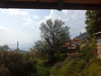 Sun Dalyan & Yeni Adet Organic - 71