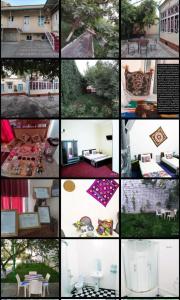 World Guest House - 40