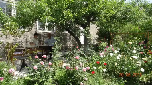 Artush & Raisa B&B - 4