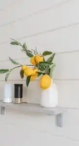 Ulovo Recreation Center - 108