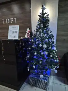 Loft - 5