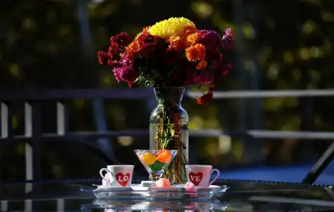 Coral Boutique - 13