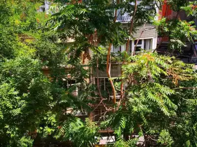 Gafa Garden Hostel & Apartments - Great Location - 50
