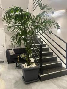 Haya Guest House - 1