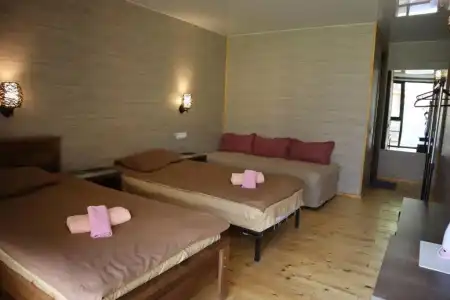 Kazbegi Cottages - 5