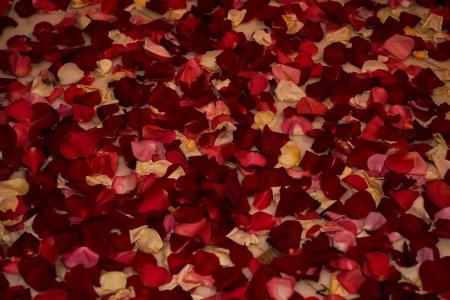 InPremium Moskva-Siti Apart-hotel - 101