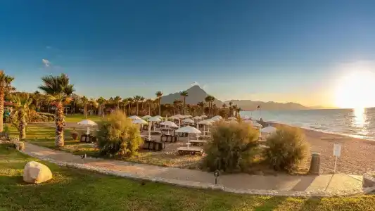 Acacia Resort - 17
