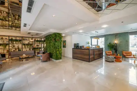 Monday by Dnt Group - 10