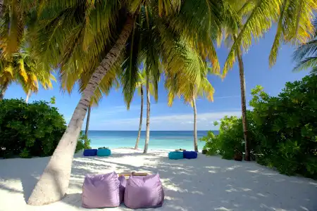 V Villas Maldives at Mirihi - MGallery Collection Resort - 18
