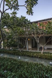 The Frangipani Tree by Edwards Collection - 16