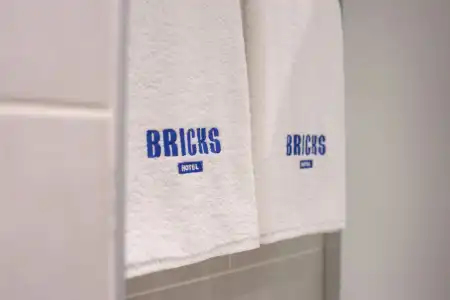 Bricks - 19