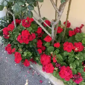 Akra Tourist base - 5