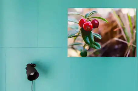 Live by Originals - 62