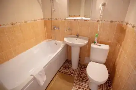 Alesha Popovich Dvor - 55