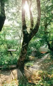 Wine Space Glamping - 1