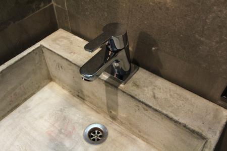 Wellion Baumansky - 109