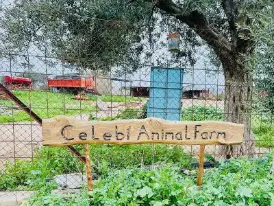 Celebi Garden	 - 1
