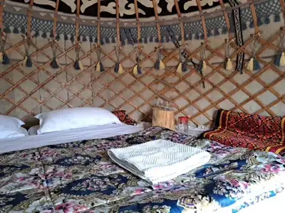 Agat Yurt Camp Glamping - 2
