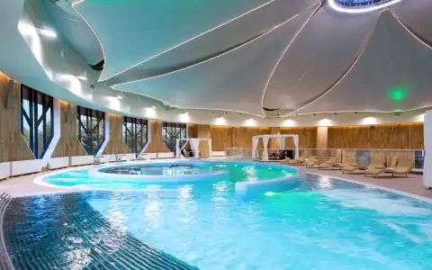 Swissôtel Wellness Resort Alatau - 46